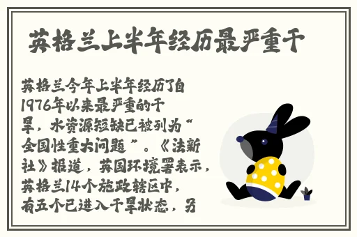 伦理片免费秋霞e